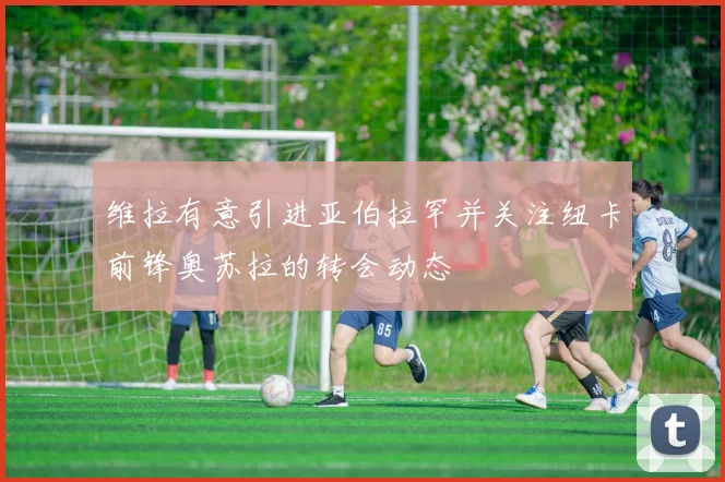 维拉有意引进亚伯拉罕并关注纽卡前锋奥苏拉的转会动态