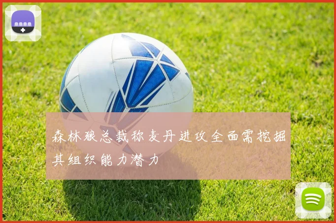 森林狼总裁称麦丹进攻全面需挖掘其组织能力潜力
